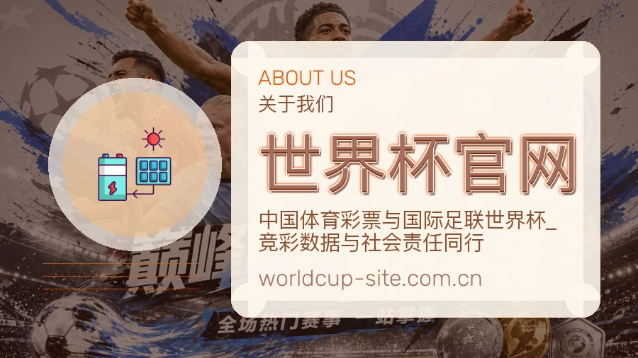 世界杯官网发展说明